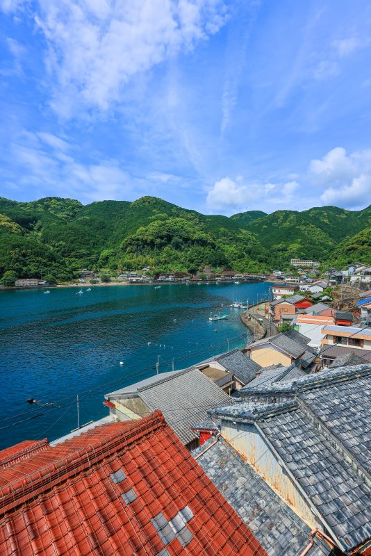 二木島町の写真「二木島町の東部の町並み」