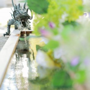 広禅寺の写真「花手水と龍」