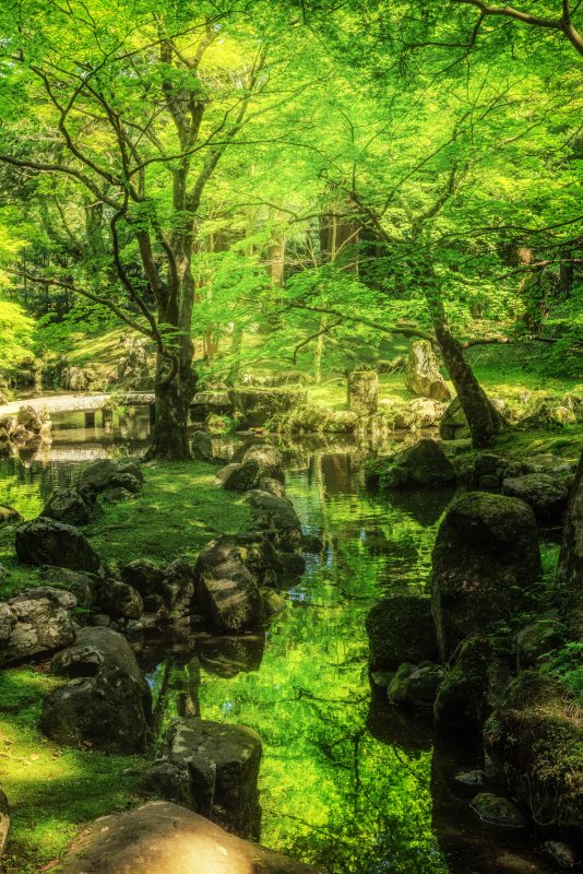 北畠神社の写真「眩しい新緑の庭園」