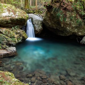 八重谷湧水の写真
