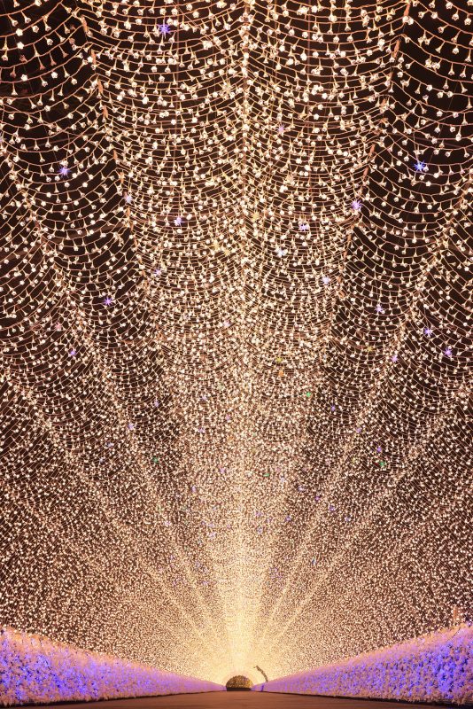 なばなの里の写真「光のトンネル（縦サイズ）」