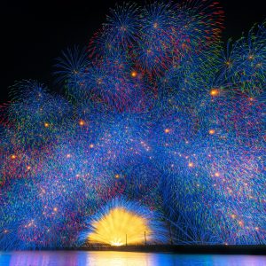 きほく燈籠祭の写真「2022年の彩色千輪菊（彩雲孔雀）」