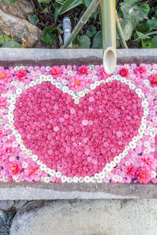 かざはやの里の写真「梅のハート花手水」