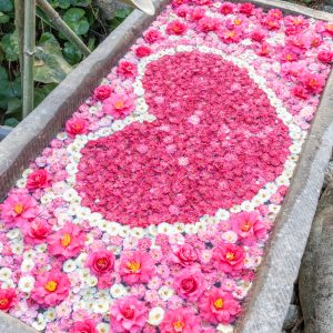 かざはやの里の写真「幸せのハート花手水」