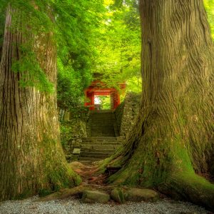 真福院のフリー素材・壁紙