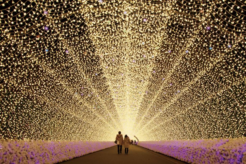 なばなの里の写真「光のトンネル（人あり）」