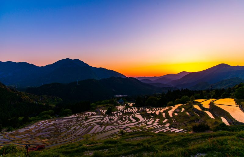 丸山千枚田の写真「夕焼けの丸山千枚田」