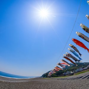 七里御浜の写真「晴天を泳ぐ鯉のぼり」