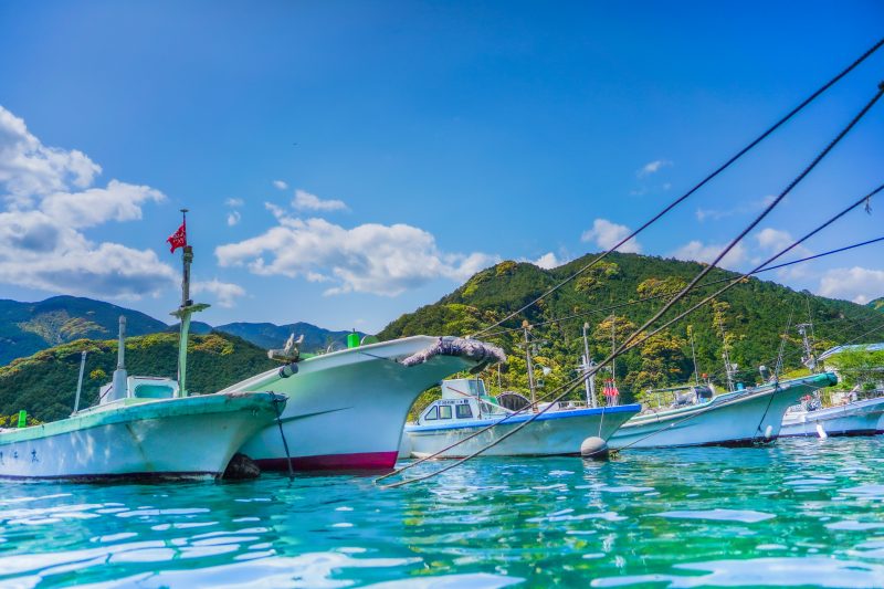 九鬼町の写真「九鬼ブルーに浮かぶ船」