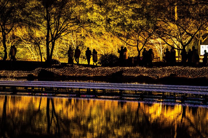 なばなの里の写真「池の水面に映るイルミネーション」