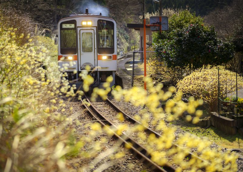 名松線の写真「ミツマタ列車発進！」