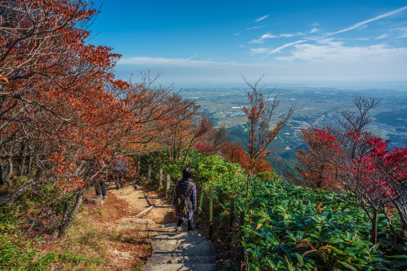 御在所ロープウエイの写真「御在所岳山頂付近の紅葉ロード」