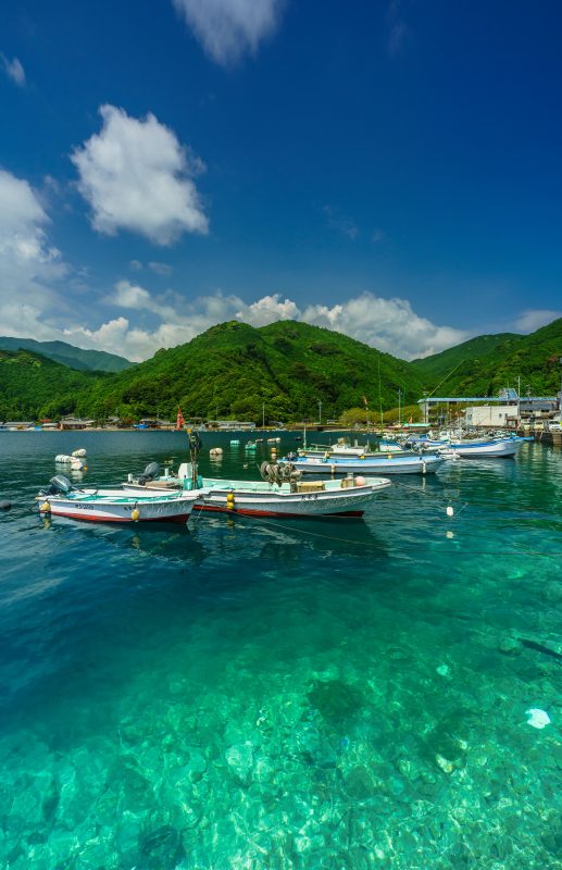 九鬼町の写真「九鬼ブルーの海」