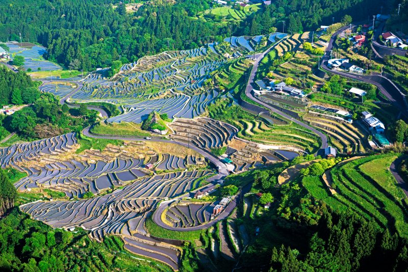 丸山千枚田の写真「通り峠から眺める丸山千枚田」