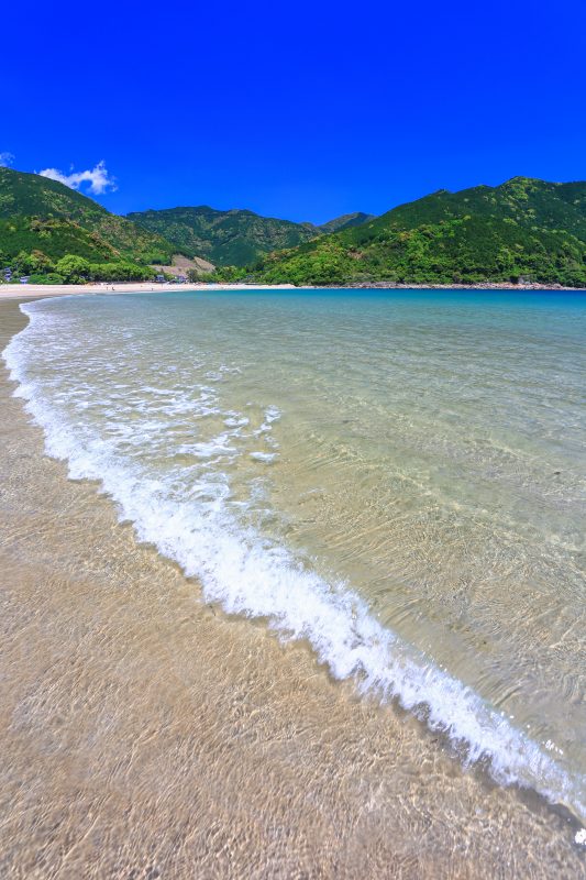 新鹿海水浴場の写真「透明度抜群の海岸」