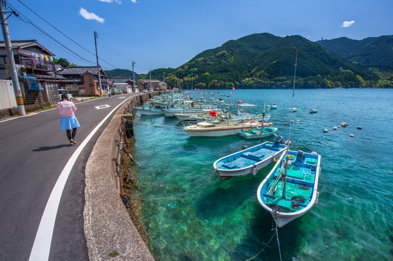 九鬼町の写真「九鬼ブルーの道を歩く」