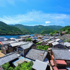 九鬼町の写真「九鬼町の町を見下ろす」