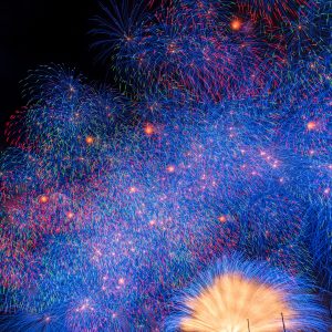 きほく燈籠祭の写真「彩色千輪菊」