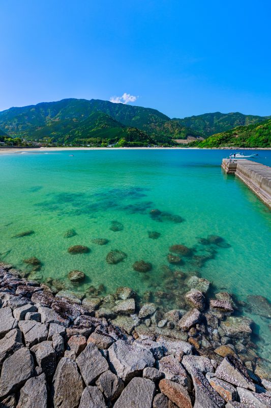 新鹿海水浴場の写真「エメラルドグリーンの漁港」