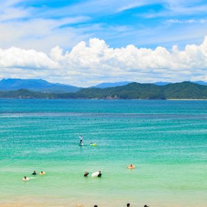 御座白浜海水浴場の写真「夏休み」
