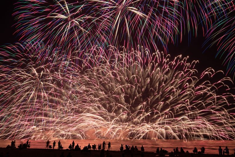津花火大会の写真「初っ端から凄いのきたやつ」